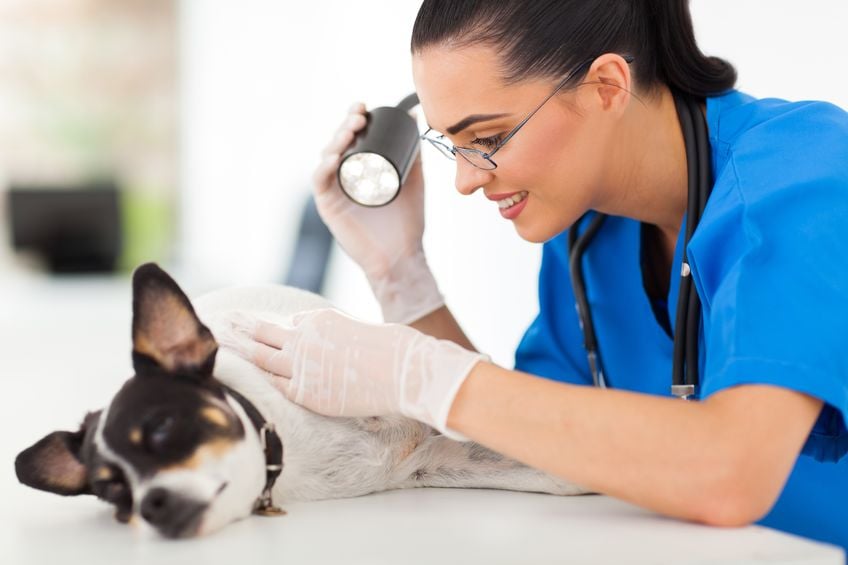 How to treat hot spots 