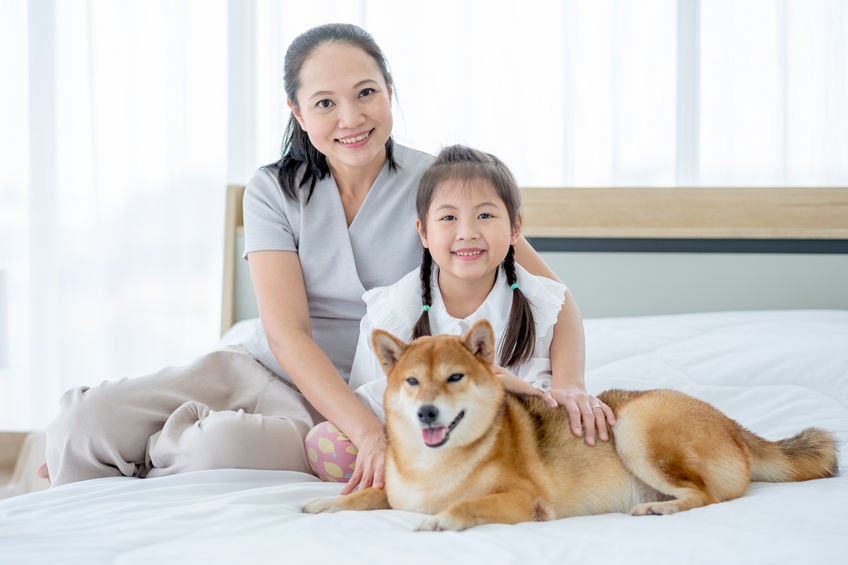 The health benefits of owning a dog