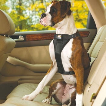 Cinturones de Seguridad para Perros