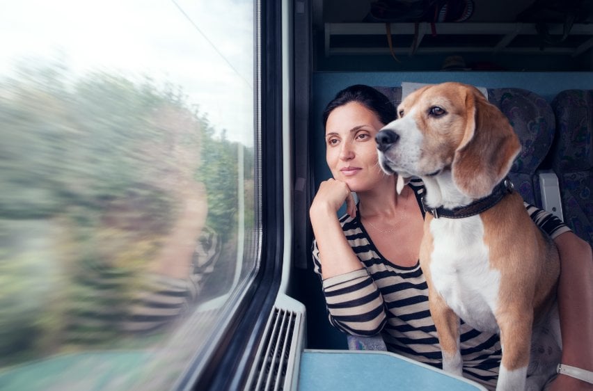 How to help your dog adjust to changes in your schedule