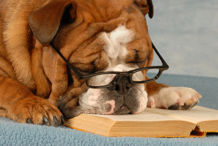 Reading With Rover