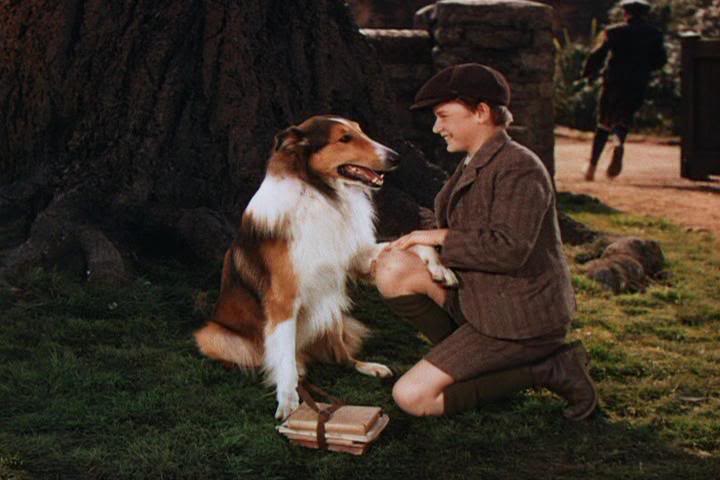 Mascotas Famosas: Lassie