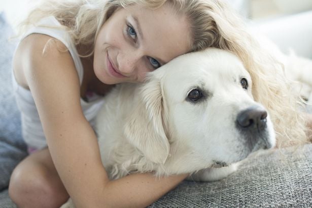 Why You Shouldn’t Hug Your Dog