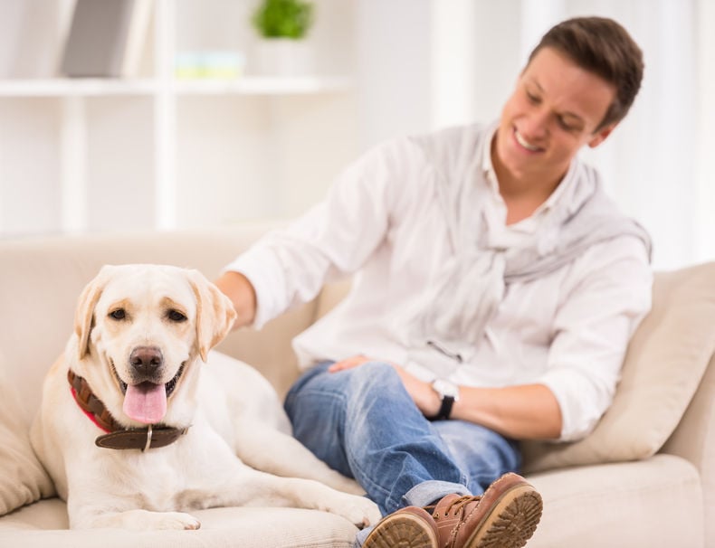 Pet boarding or pet sitting: Which is better?