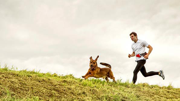 ¿Deberías Pasear a Tu Perro Todos los Días?