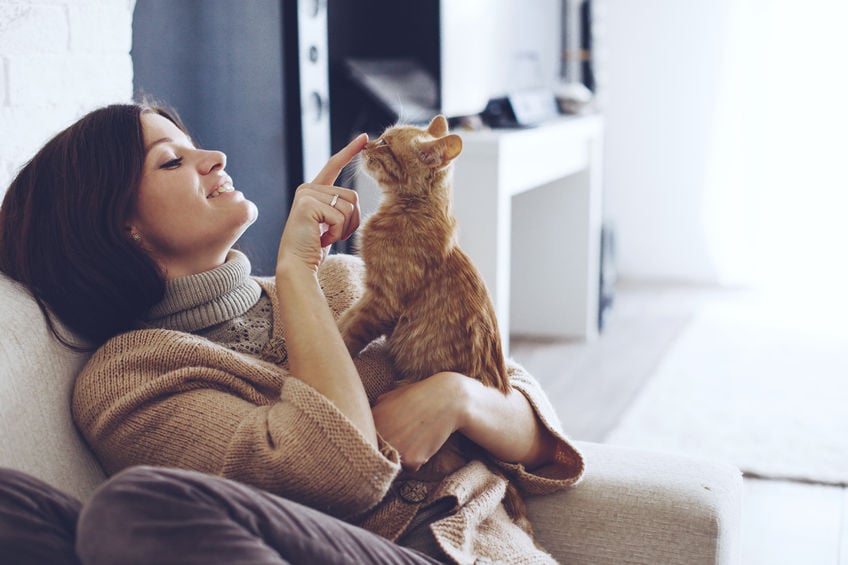 Making moving less stressful for your cat