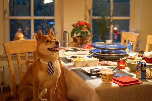 Teaching Your Dog Table Manners