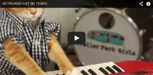 Throwback 'Purrs'-day: ¡Seguimos sin cansarnos del Keyboard Cat!