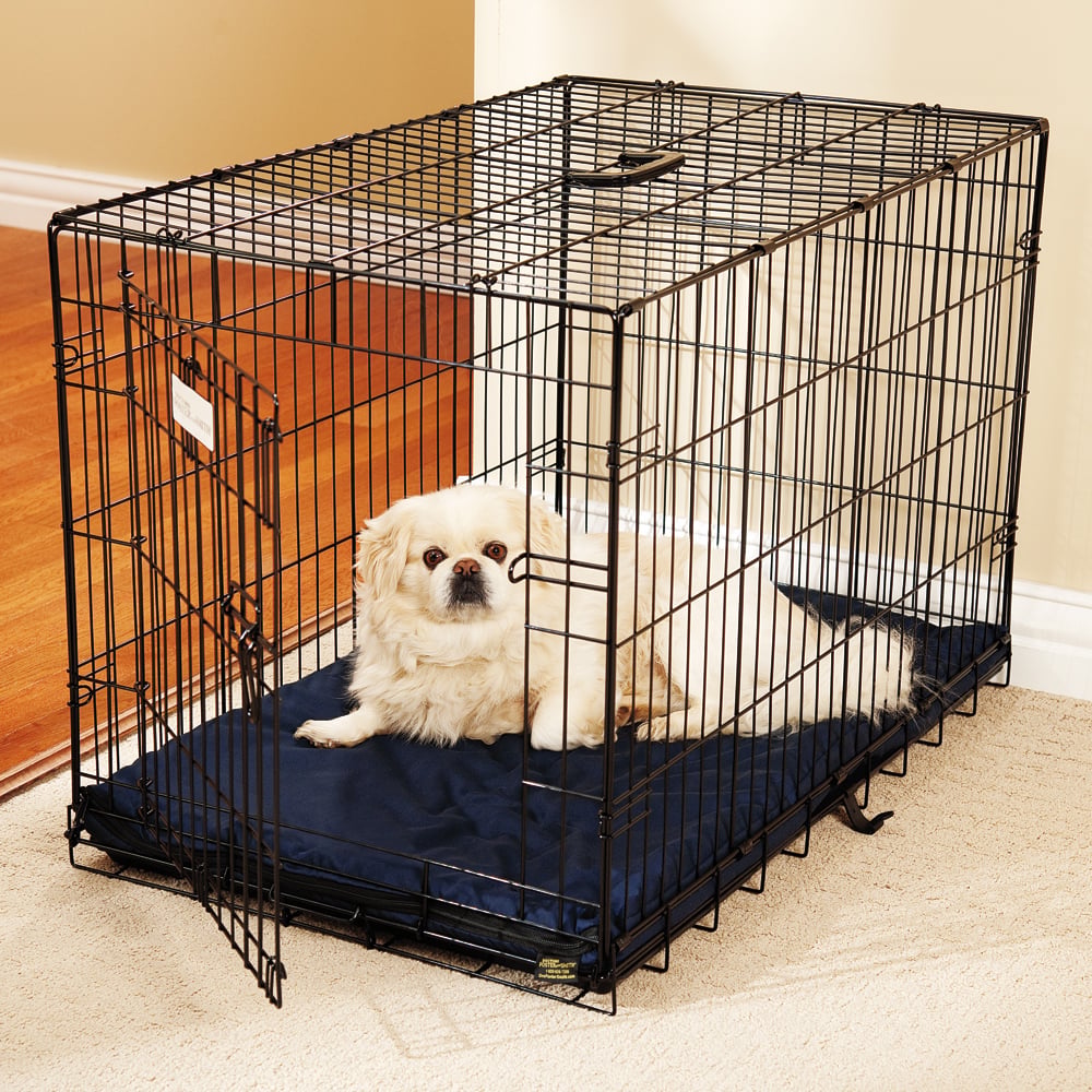 Crate Training Your Dog