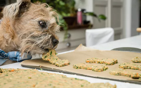 raw dough