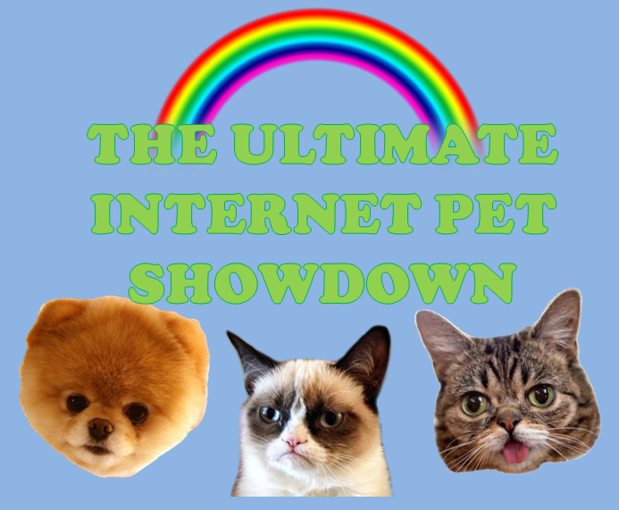 Grumpy Cat vs Boo vs Lil Bub - El Gran Duelo de Mascotas en Internet [INFOGRAPHIC]