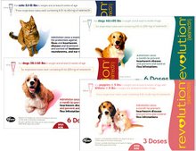 Las muchas variedades de Revolution pueden proteger a cualquier gato o perro.