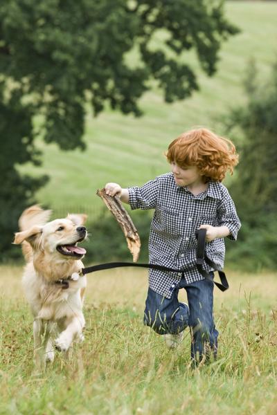 Teaching Kids the Fundamentals of Proper Dog Handling