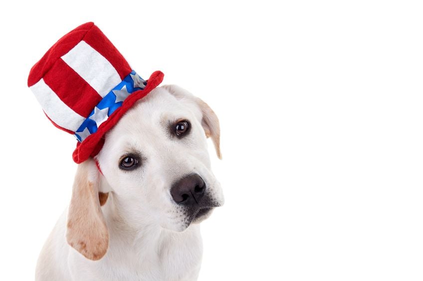 Happy 4th of July!