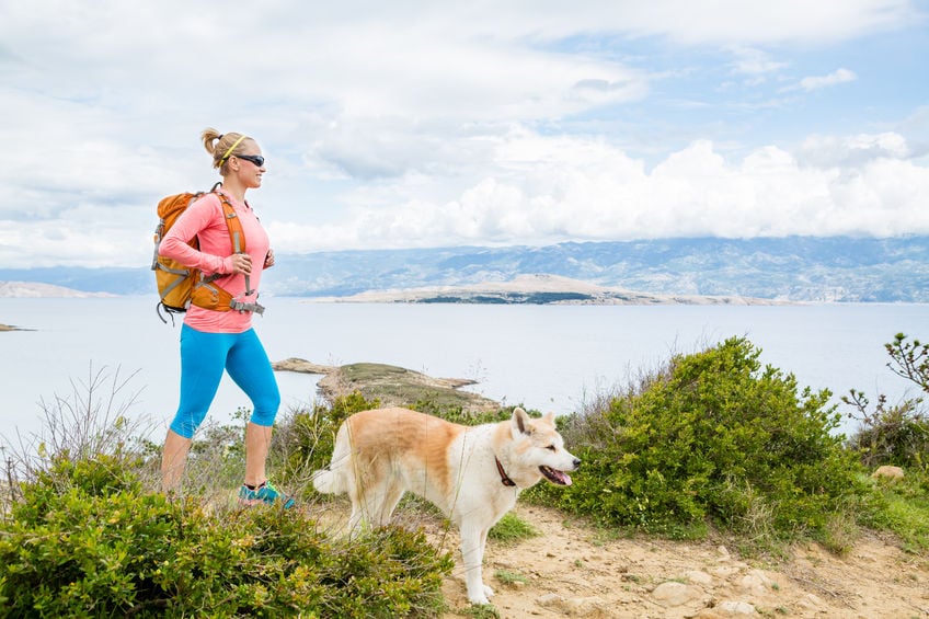 The Do’s and Don’ts of Hiking with Pets