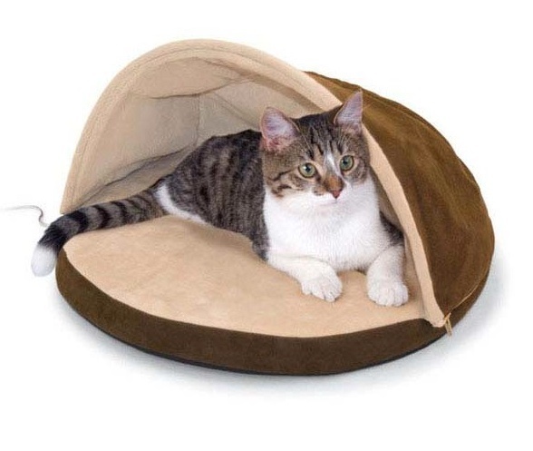 Por qué tu gato necesita una cama con calefacción este otoño