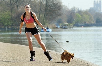¿Deberías ir a patinar sobre ruedas con tu perro?
