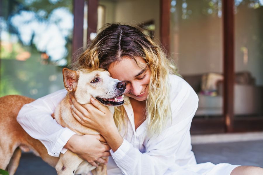 Hookworm Infections in Pets: Understanding, Detecting, and Safeguarding Against Them