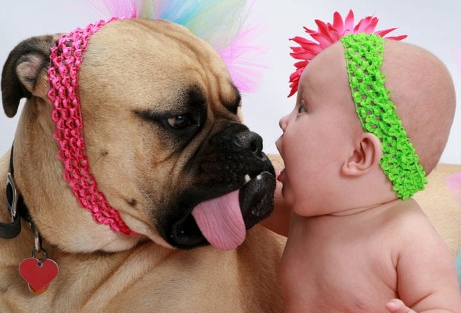 ¡Mascotas y Bebés: Una Combinación Adorable Hecha en el Cielo!