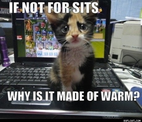 16 Formas de Calentarse en Invierno - La Guía del Gato para Sobrevivir el Frío