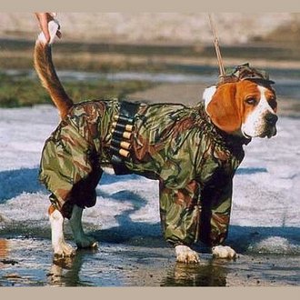 Gritad ¡Estragos! y soltad a los perros de la guerra.