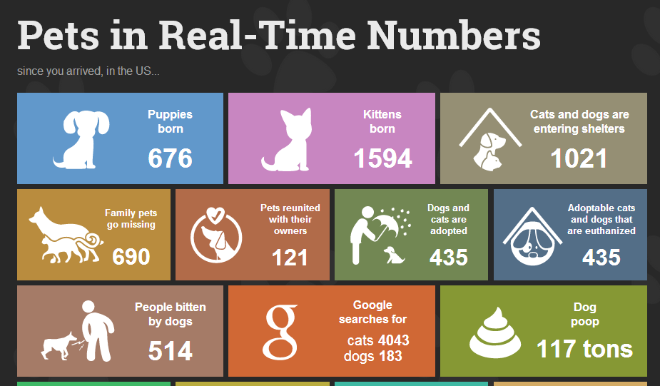 ¡Datos y cifras increíbles sobre las mascotas en EE. UU. - en tiempo real!