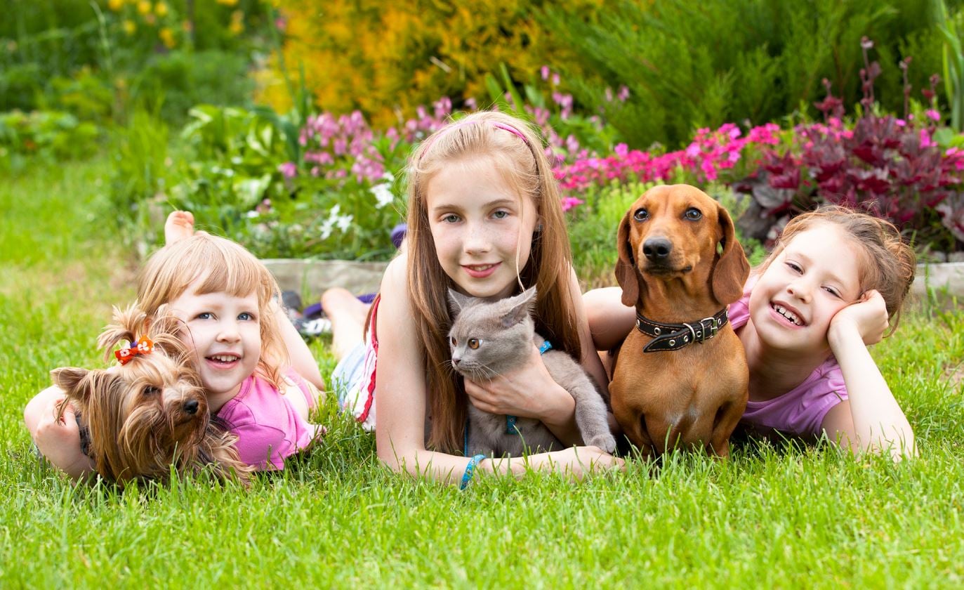 Los Beneficios de que los Niños Tengan Mascotas