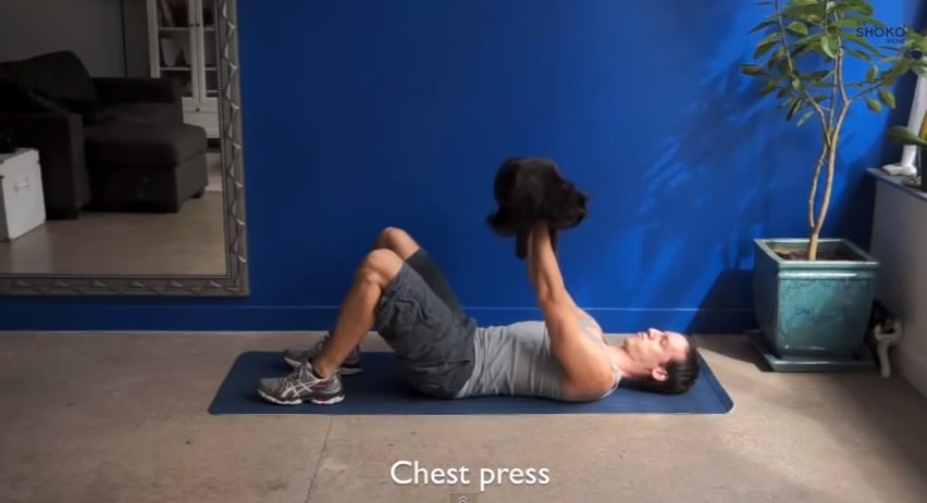 ¡Por qué no intentar hacer ejercicio con tu gato!