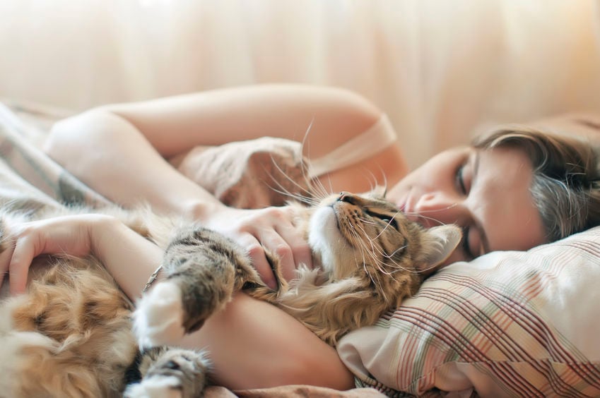How can I stop my cat from waking me up at night?