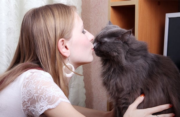 El Gatito Esquivo: Cómo Socializar a un Gato
