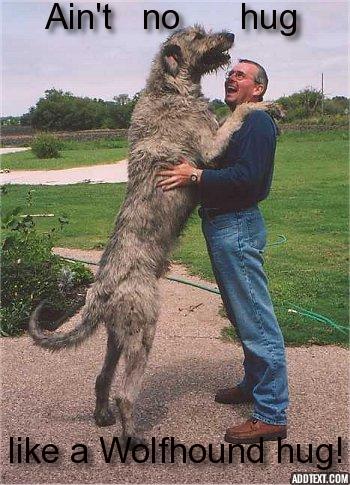 Acomodar razas grandes: ¿Es este el perro adecuado para ti?