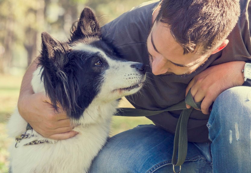 This is why you love your pet so much
