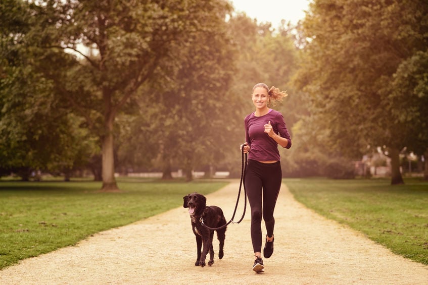 Ways to get fit with your dog