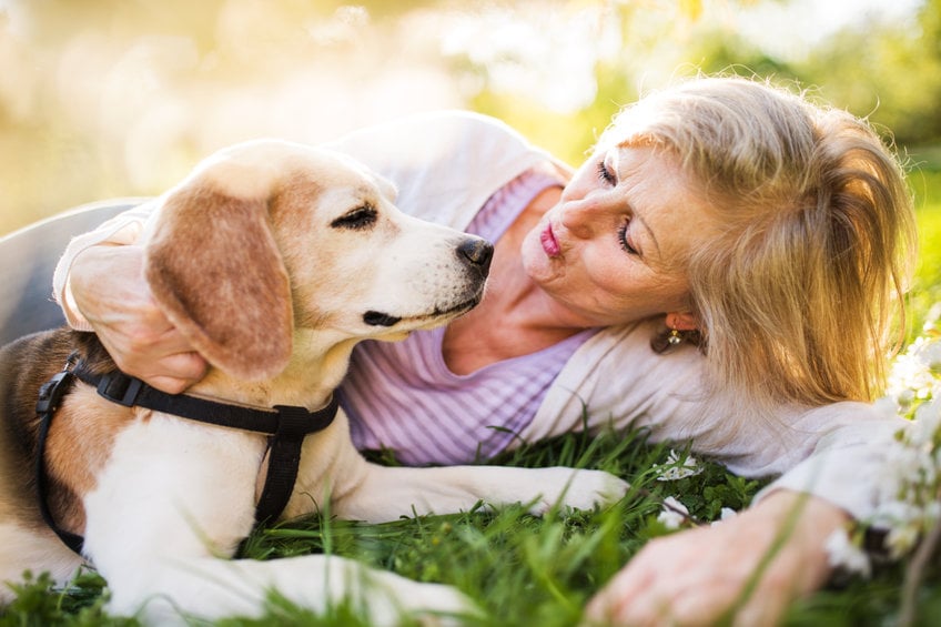 Signs of arthritis in dogs and how to help