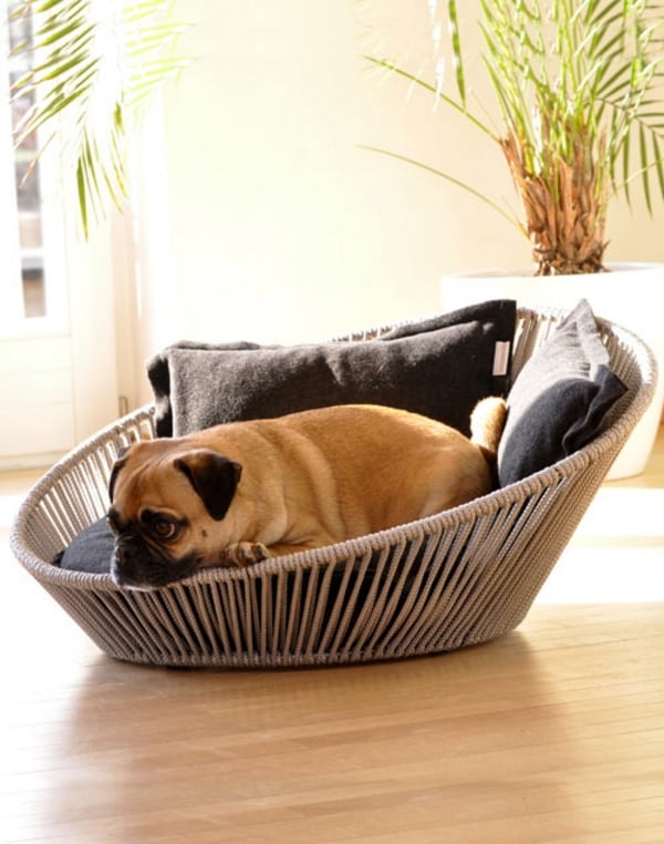 Pet Safety: How to Dog-Proof your House and Garden
