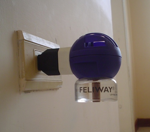 Does Feliway Work for Cats?
