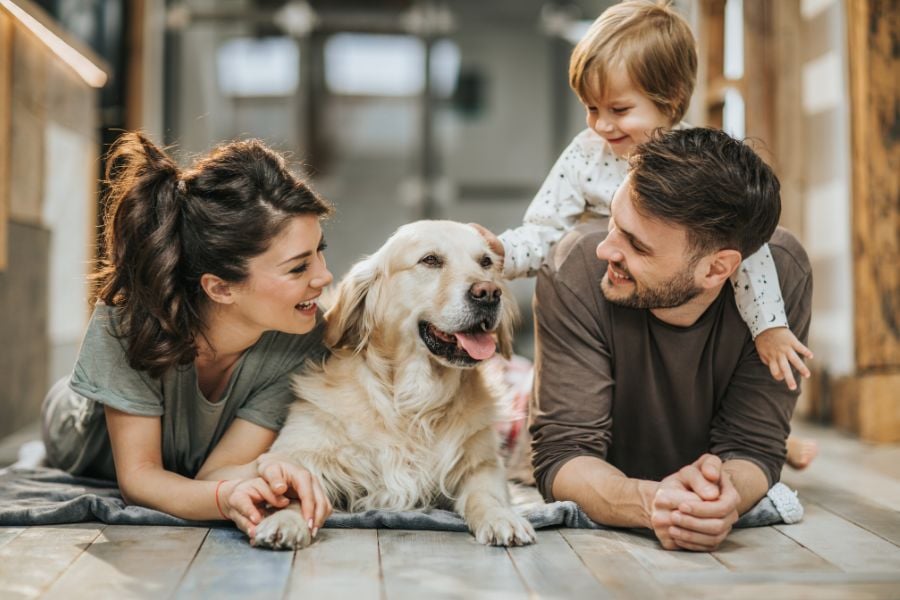 Positive Health Impact When Having a Dog