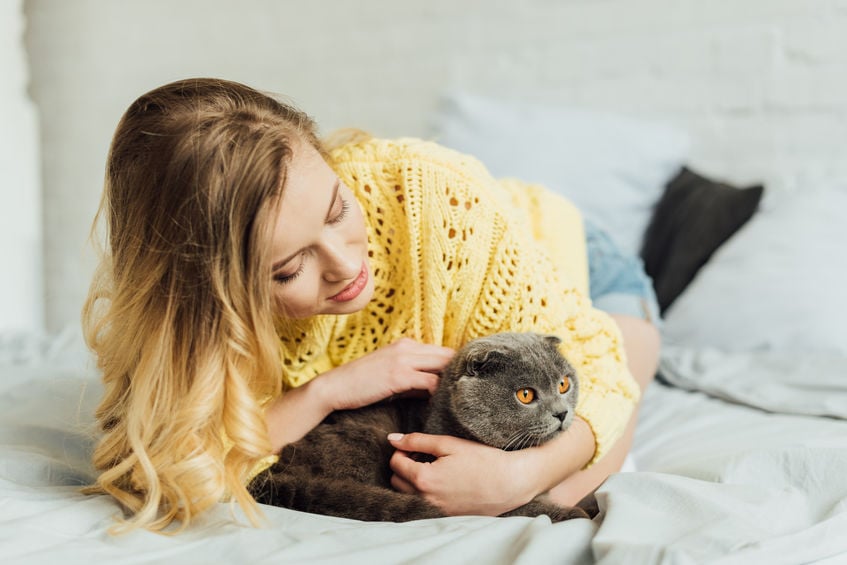 Help! My cats has gas