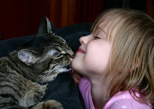 Why does my cat lick me?