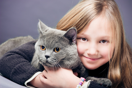 7 Cat Breeds That Are Great With Kids