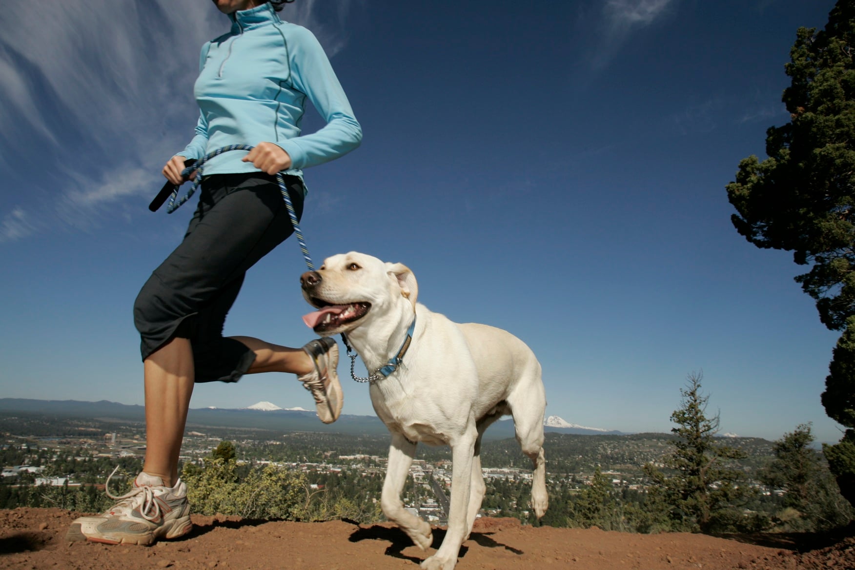 ¿Deberías salir a correr con tu perro?