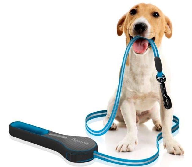 Cómo Elegir La Correa Adecuada Para Tu Perro