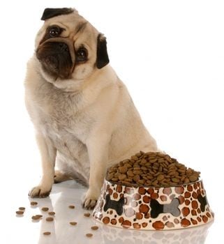 ¡Acaba de una vez por todas con el apetito caprichoso de tu perro!