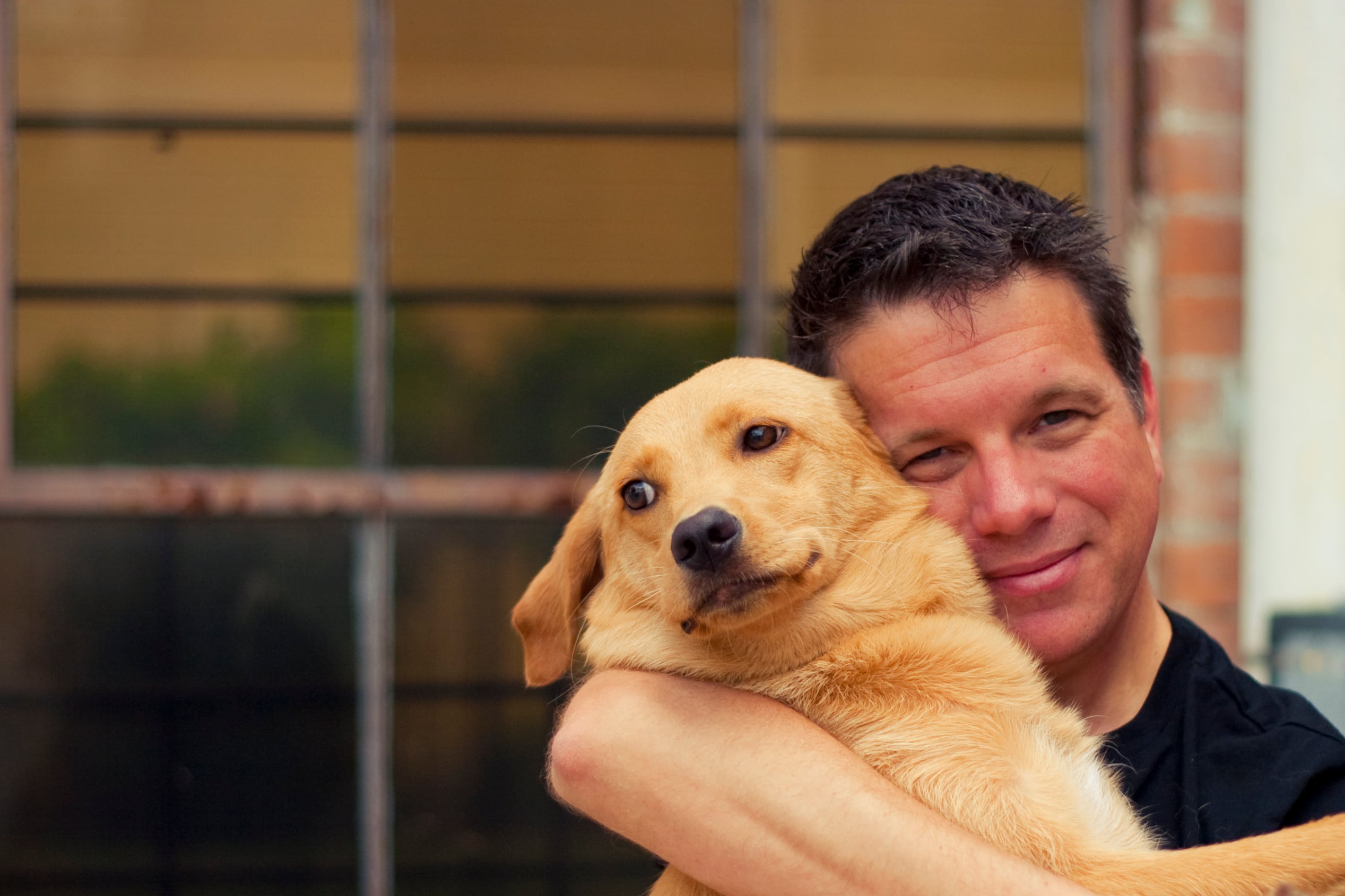 Dogs Don't Like Hugs