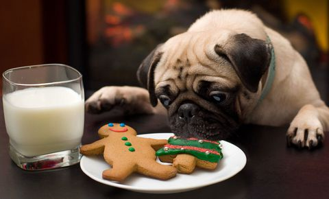 christmas cookies