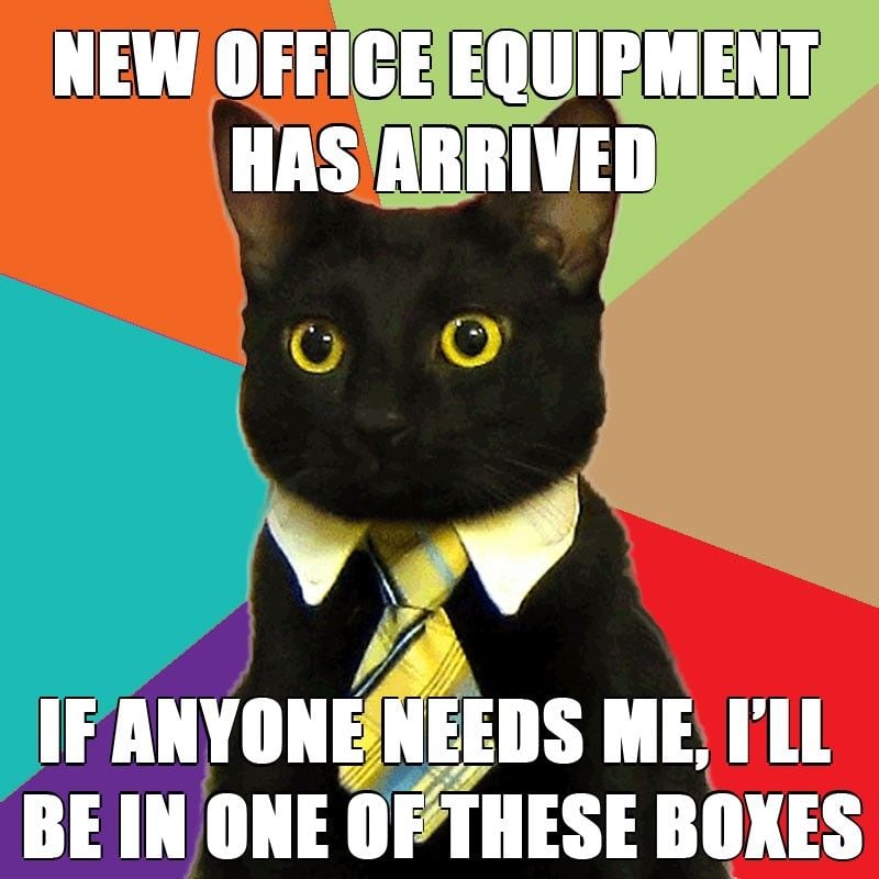 9 mascotas que apenas sobreviven la semana laboral