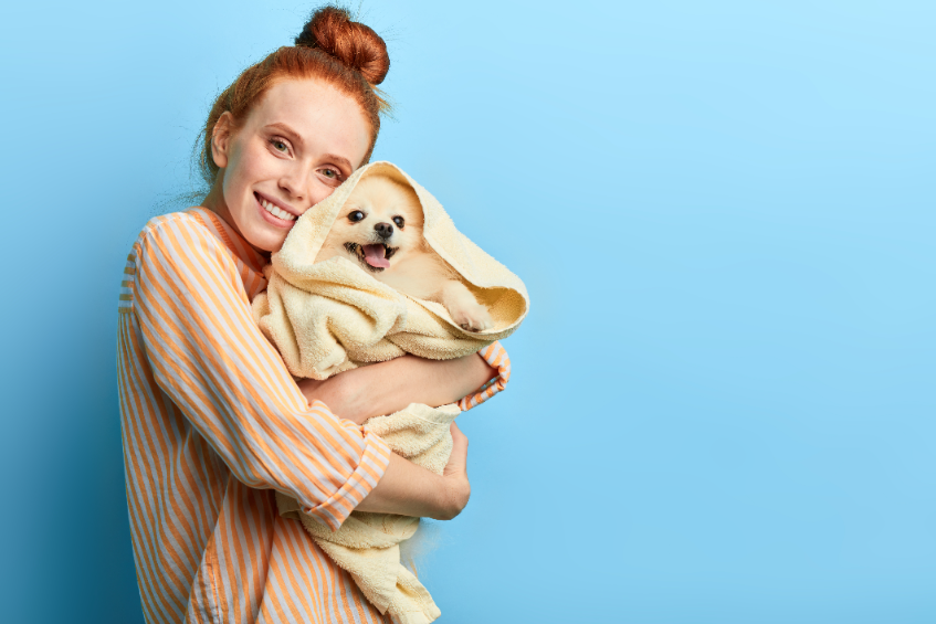 9 Strategies to Prevent Fleas from Biting Your Dog, Including Vacuums and Flea Shampoo