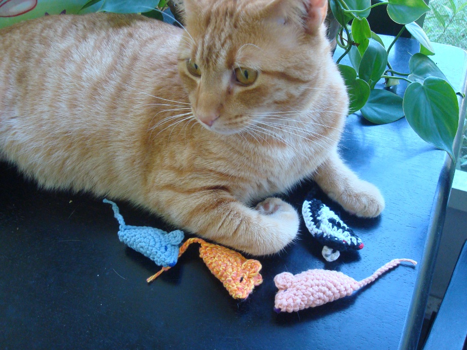 El Juego del Gato y el Ratón: Por Qué a los Gatos les Encantan los Juguetes con Forma de Ratón
