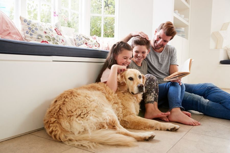 Creating a Parasite-Free Environment for Your Beloved Pets