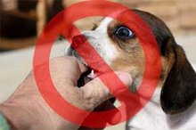 This is a no nipping zone!